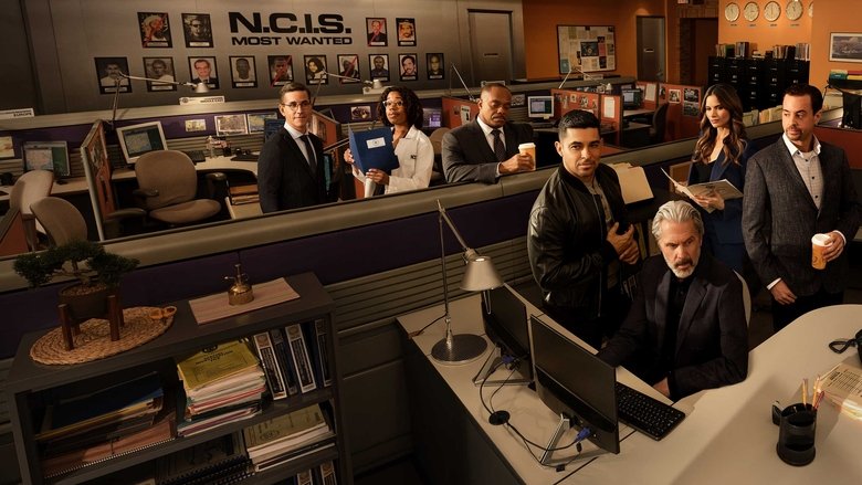 NCIS afişi